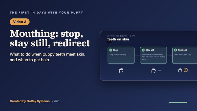Video 3 thumbnail: Mouthing: stop, stay still, redirect
